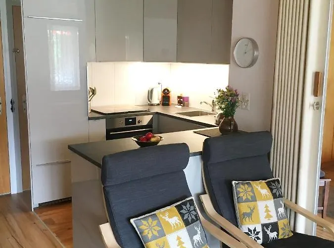 Lejlighed Andrea Adelboden