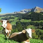 Andrea * Adelboden