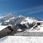 Andrea Appartamento Adelboden
