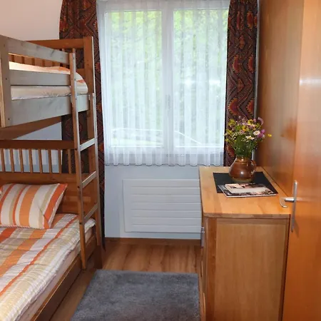 Andrea Apartment Adelboden
