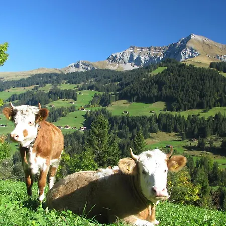 Andrea * Adelboden