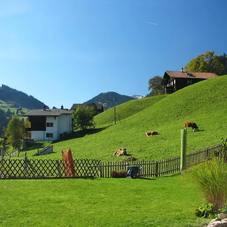 Andrea Apartment Adelboden